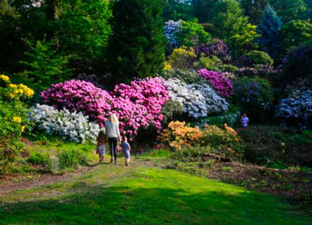 Leonardslee Lakes and Gardens