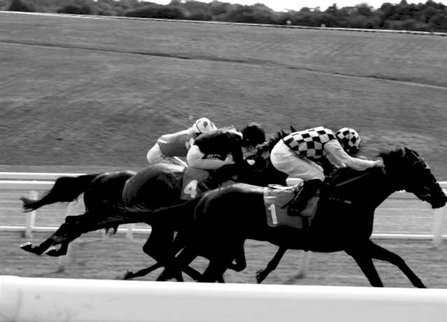 Epsom Downs Racecourse