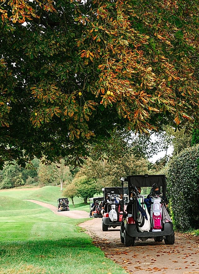 Buggies on the course