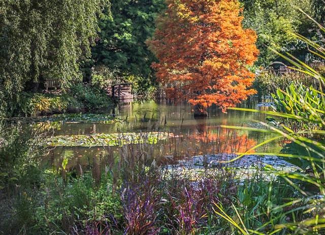 Sir Harold Hillier Gardens